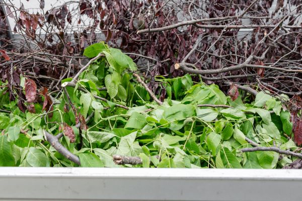 Cost of Brush Hauling in Yorba Linda