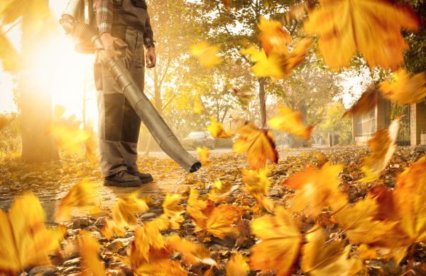 Cost of Leaf Blowing Service in Yorba Linda