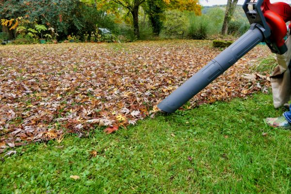 Cost of Leaf Vacuuming Service in Yorba Linda