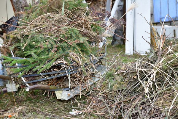 Cost of Yard Debris Removal in Yorba Linda