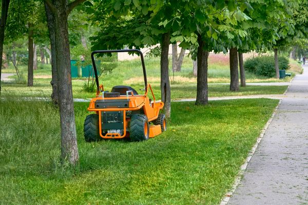 Cost of Landscaping Cleanup Service in Yorba Linda