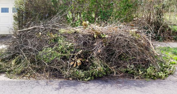 Tree Limb Cleanup