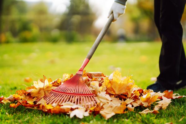 Cost of Ditch Leaf Removal in Yorba Linda