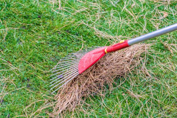 Cost of Yard Raking in Yorba Linda