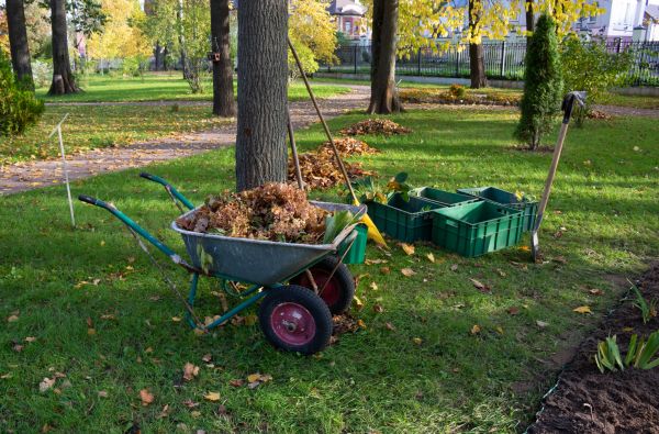 Cost of Leaf Clearing Service in Yorba Linda