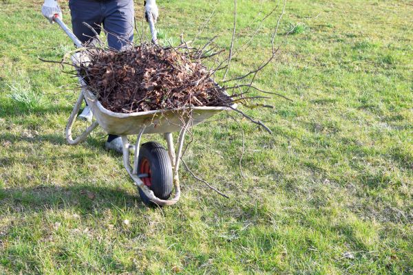 Cost of Yard Brush Removal in Yorba Linda