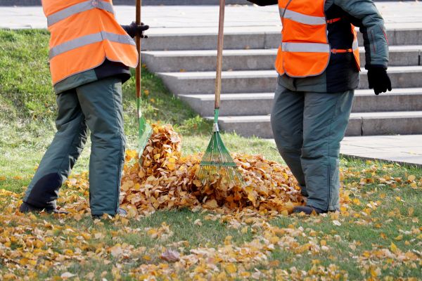 Cost of Leaf Hauling Service in Yorba Linda