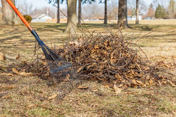 Outdoor Debris Clearing