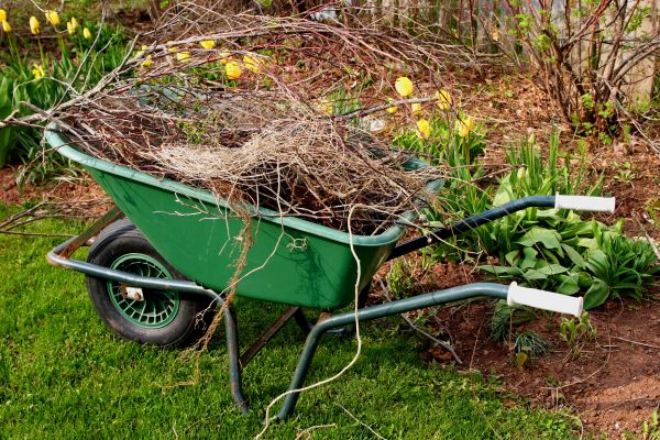 Cost of Lawn Waste Removal in Yorba Linda