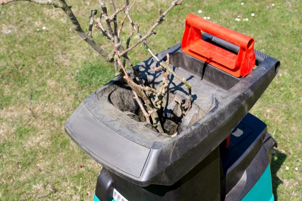 Cost of Brush Cleanup Service in Yorba Linda