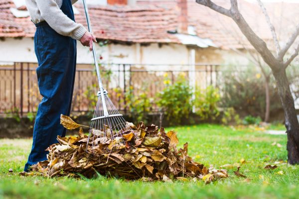 Cost of Fall Yard Cleanup Service in Yorba Linda