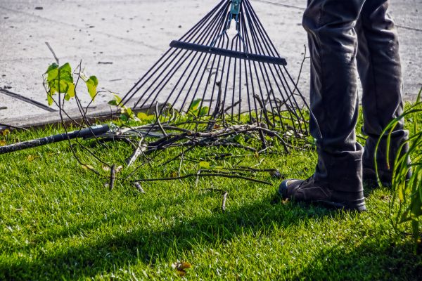 Cost of Yard Debris Cleanup in Yorba Linda