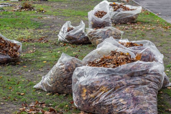 Cost of Leaf Pile Disposal in Yorba Linda