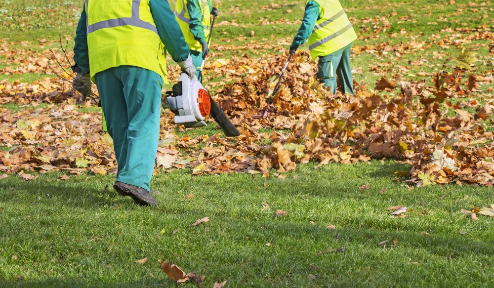 Industrial Leaf Removal