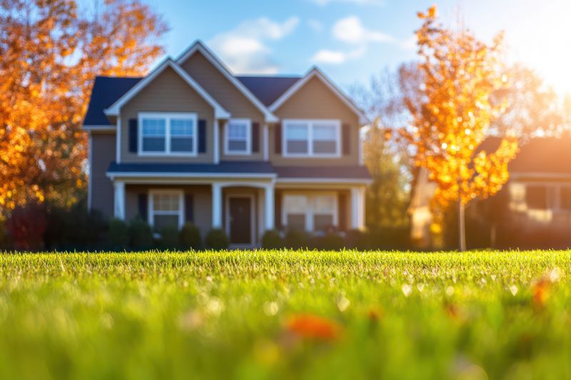 Why Fall And Spring Are The Best Times For Lawn Clean Up